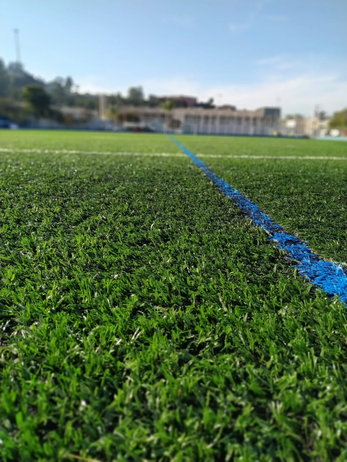 Detalhe macro do gramado sintético e da linha de marcação azul